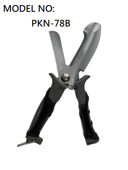 PKN-78B