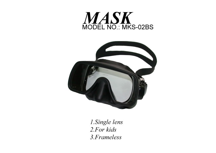 MKS-02BS